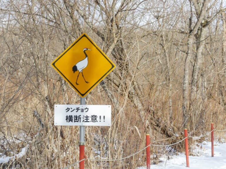 タンチョウ横断注意の画像|【バイクにとってはマジで危険!】「動物飛び出し注意」の標識は想像以上にバリエーション豊富
