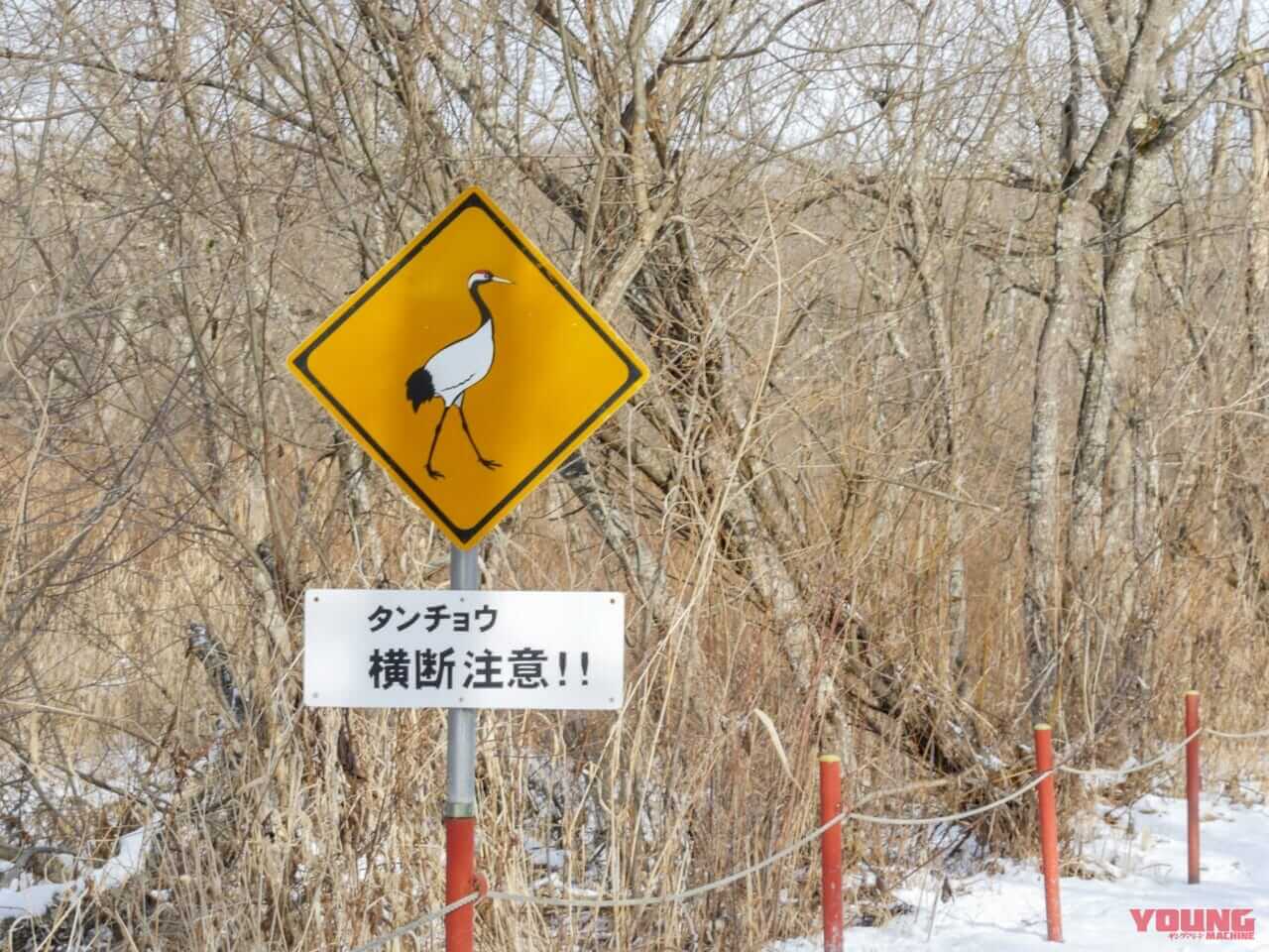 タンチョウ横断注意の画像|【バイクにとってはマジで危険!】「動物飛び出し注意」の標識は想像以上にバリエーション豊富