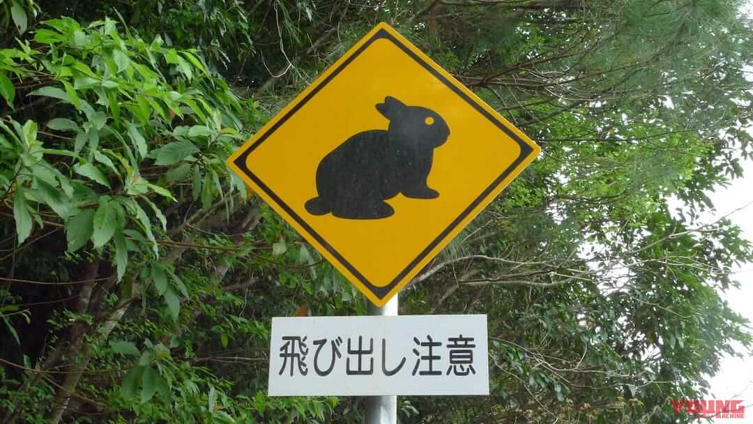 アマミノクロウサギ横断注意の画像|【バイクにとってはマジで危険!】「動物飛び出し注意」の標識は想像以上にバリエーション豊富
