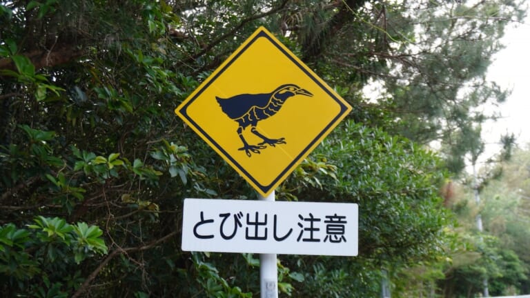 ヤンバルクイナ横断注意の画像|【バイクにとってはマジで危険!】「動物飛び出し注意」の標識は想像以上にバリエーション豊富