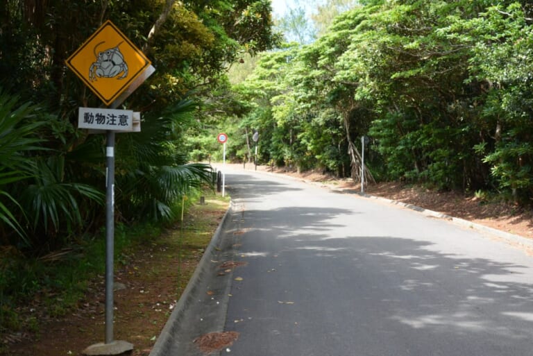 オカヤドカリ横断注意の画像|【バイクにとってはマジで危険!】「動物飛び出し注意」の標識は想像以上にバリエーション豊富
