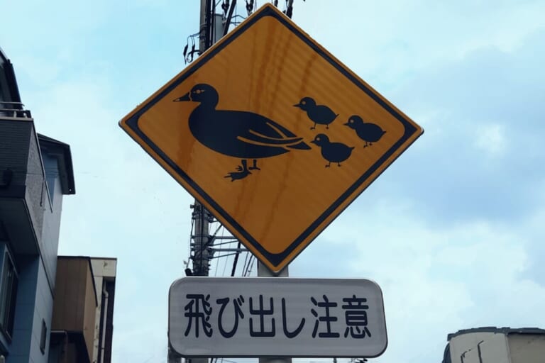 カルガモ横断注意の画像|【バイクにとってはマジで危険!】「動物飛び出し注意」の標識は想像以上にバリエーション豊富