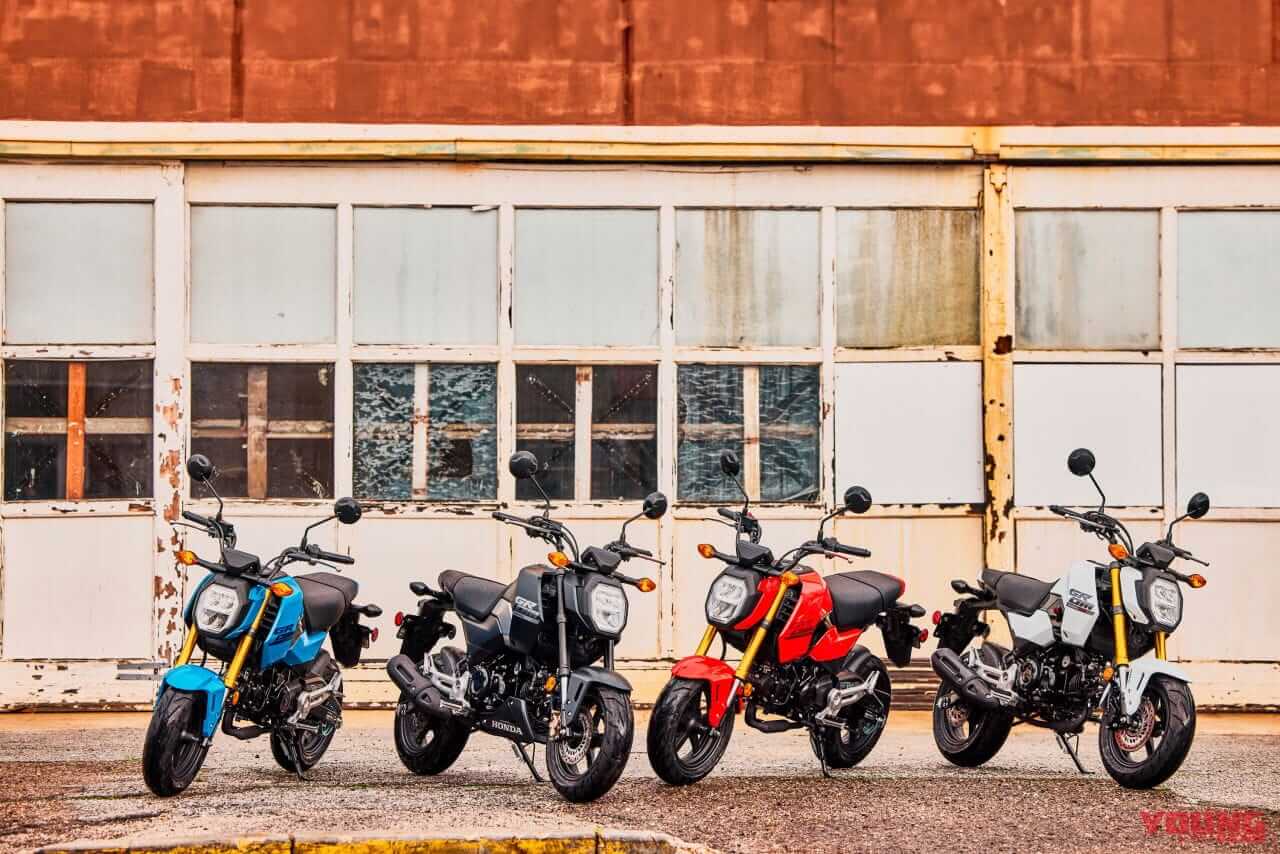 |ホンダが「ナビ」「グロム」「ズーマー」「ジョルノ」の北米向け’24-’25年モデルを発表! 現地名、全部わかる?
