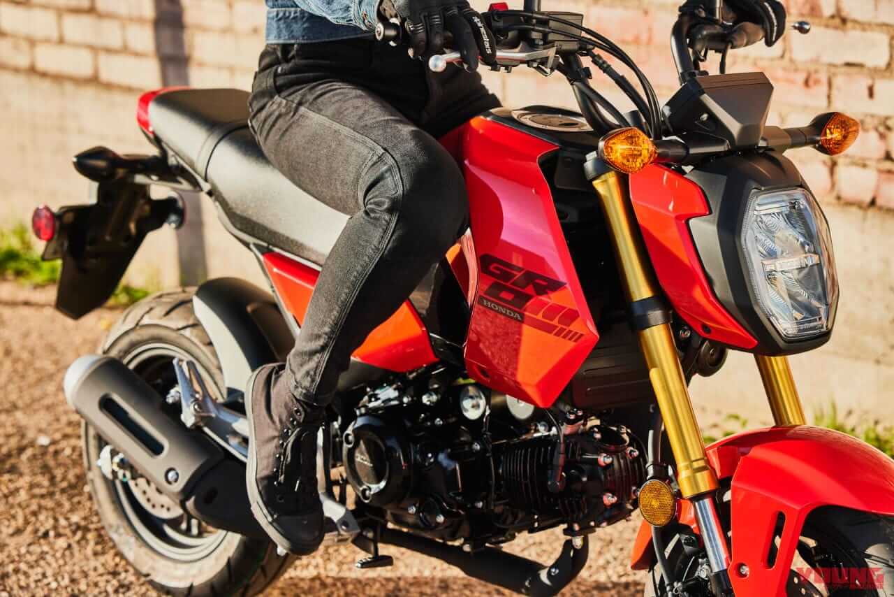 |ホンダが「ナビ」「グロム」「ズーマー」「ジョルノ」の北米向け’24-’25年モデルを発表! 現地名、全部わかる?