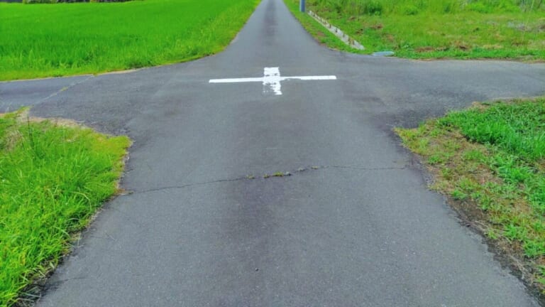 実は違反している場合も多い!? 信号機のない交差点、どう渡るのが正解？【元警察官が解説】
