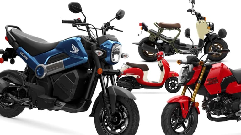 ホンダが「ナビ」「グロム」「ズーマー」「ジョルノ」の北米向け’24-’25年モデルを発表! 現地名、全部わかる?