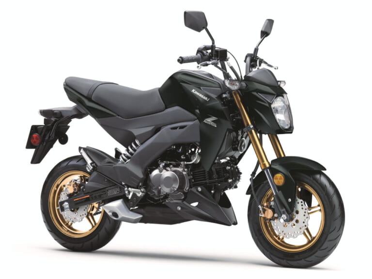 カワサキ|Z125プロ|北米仕様|2025年モデル|カワサキ「Z125プロ」2025年モデル登場! カモ柄に金のサスペンション、さらにホイールも塗り分け【海外】