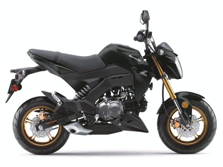 カワサキ|Z125プロ|北米仕様|2025年モデル|カワサキ「Z125プロ」2025年モデル登場! カモ柄に金のサスペンション、さらにホイールも塗り分け【海外】