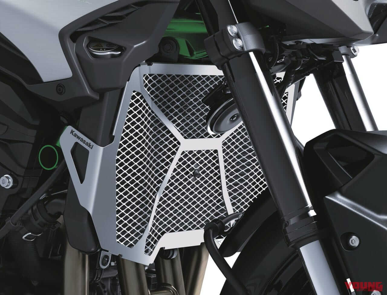 カワサキ|Z900|北米仕様|2025年モデル|進化は900から! カワサキが新型「Z900」「Z900 SE」を発表、新デザインのほか燃費改善やカワサキ初のナビ機能も獲得【海外】