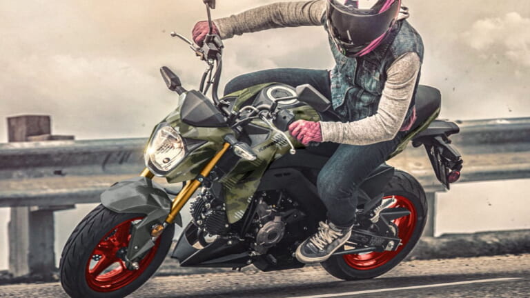 カワサキ「Z125プロ」2025年モデル登場！ カモ柄に金のサスペンション、さらにホイールも塗り分け【海外】