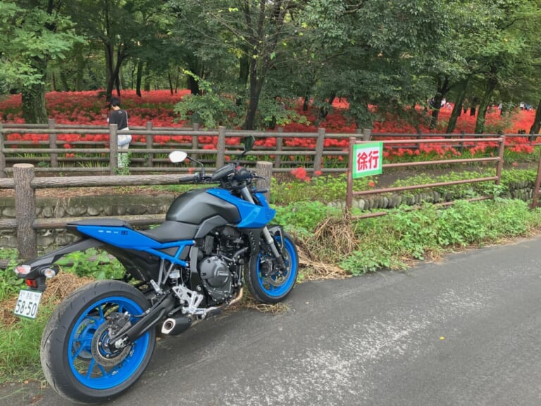 SUZUKI GSX-8S