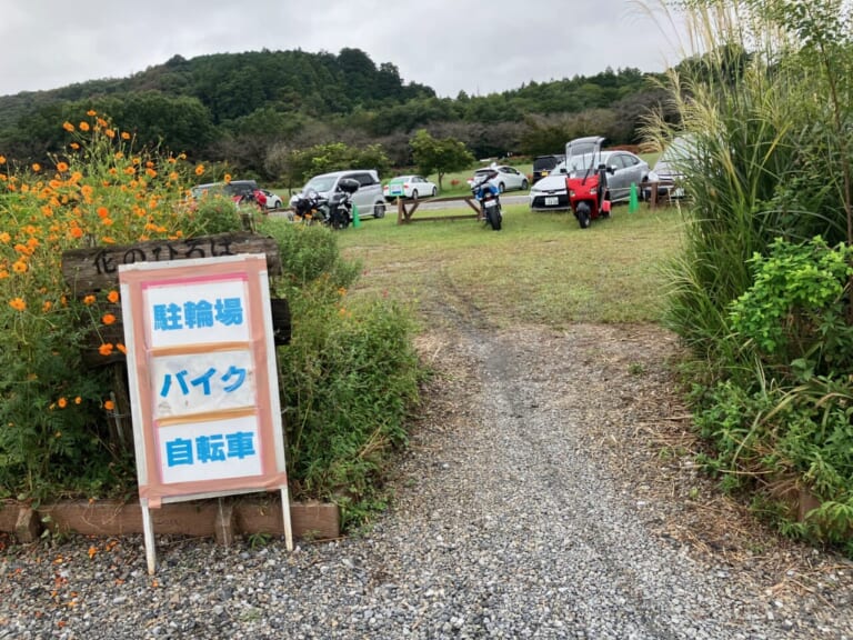 一生に一度は絶対に見たい500万本! 曼珠沙華群生地〜巾着田(埼玉県日高市)