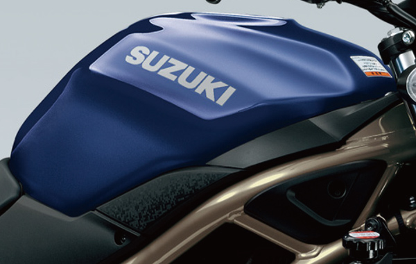 2024 SUZUKI SV650 ABS