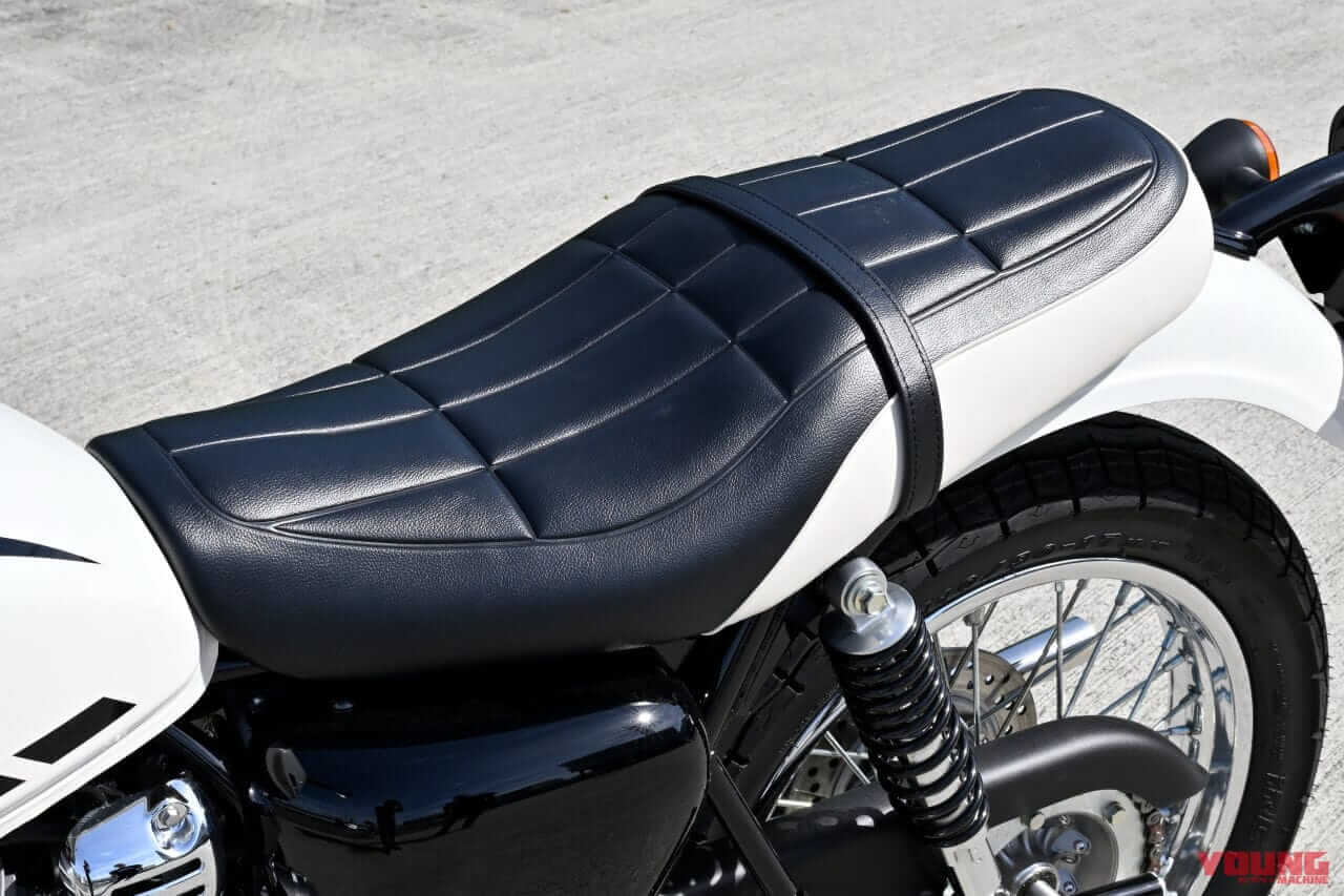 2025 KAWASAKI W230|カワサキW230〈いま国内で買える新型バイクカタログ|軽二輪(250-126cc)〉