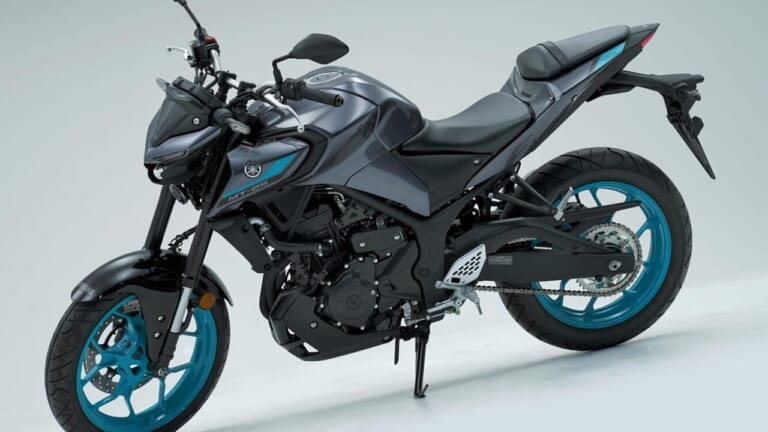 2024 YAMAHA MT-25 ABS