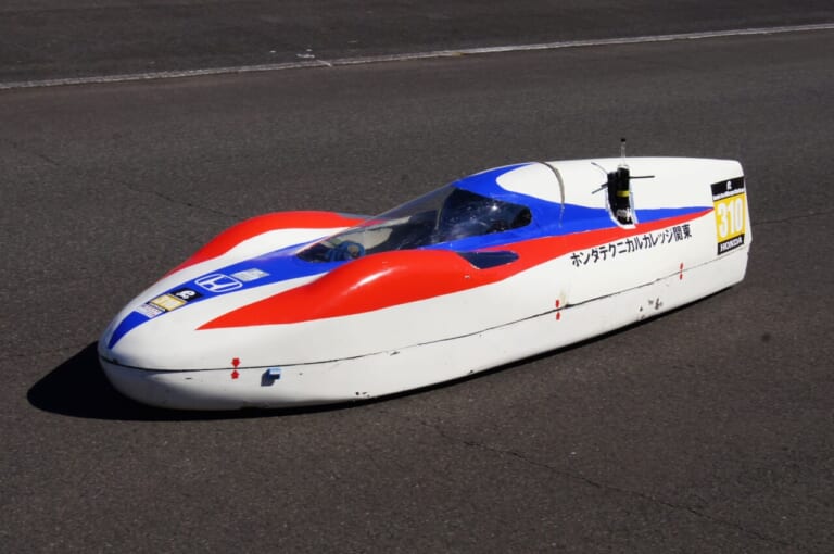 第17回モンキーミーティング|「猿がいっぱい集まる」第17回 モンキーミーティングin多摩は4月27日(日)開催「今年も東京サマーランド」