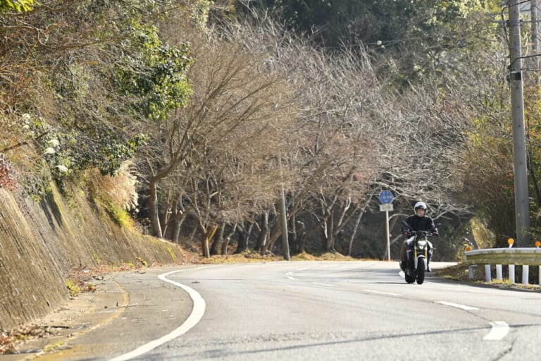 BMW F900Rとともに。日本三大水仙群生地の房総 鋸南町の江月水仙ロードを走る