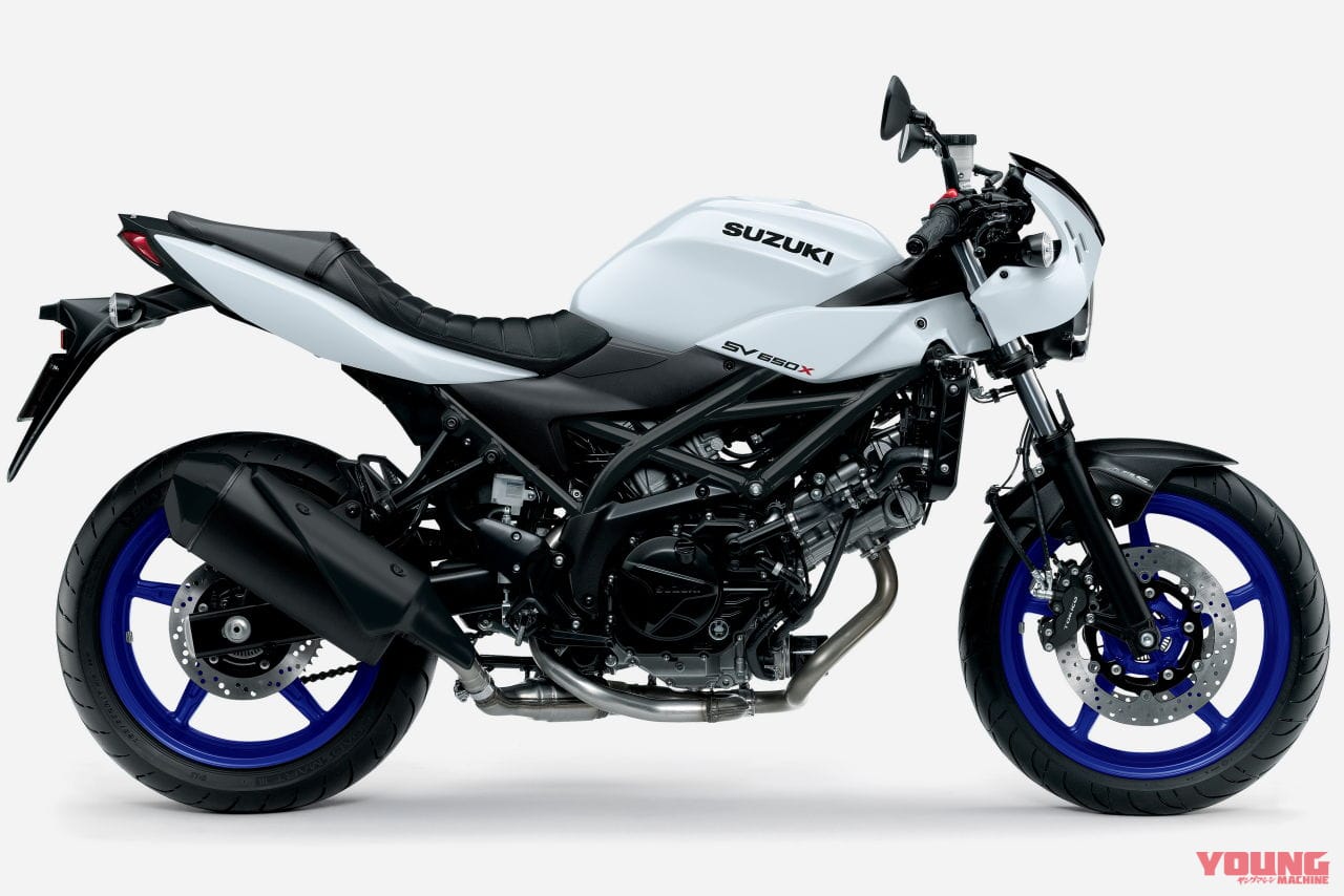 2025 SUZUKI SV650X ABS|パールテックホワイト|スズキSV650X〈いま国内で買える新型バイクカタログ|大型二輪(750-401cc)〉