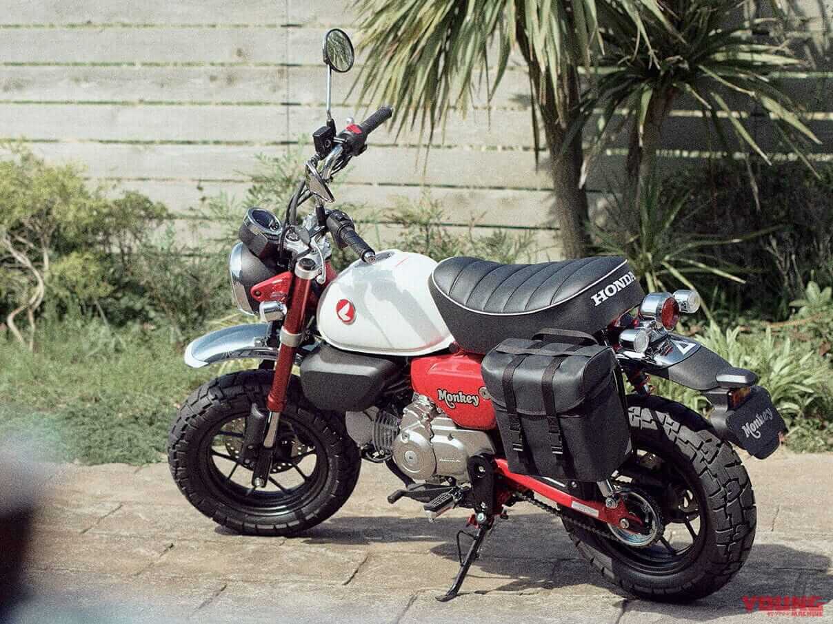 ホンダ|モンキー125|欧州仕様|2025年モデル|黄色いモンキー復活へ?! 欧州ホンダ「モンキー125」2025年モデルは日本仕様と異なるラインナップ