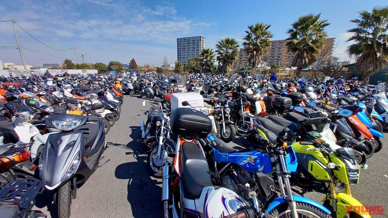 |お宝バイクが見つかるかも! 5500円から車体が買える伝説のバイク屋「湘南ジャンクヤード」攻略法