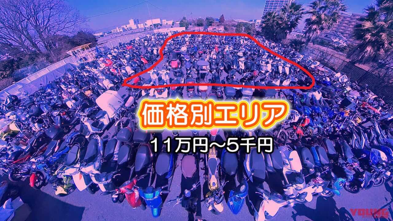 お宝バイクが見つかるかも! 伝説のバイク屋「湘南ジャンクヤード」攻略法|お宝バイクが見つかるかも! 5500円から車体が買える伝説のバイク屋「湘南ジャンクヤード」攻略法