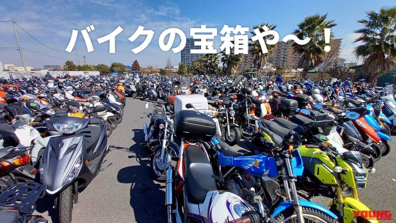 お宝バイクが見つかるかも! 5500円から車体が買える伝説のバイク屋「湘南ジャンクヤード」攻略法