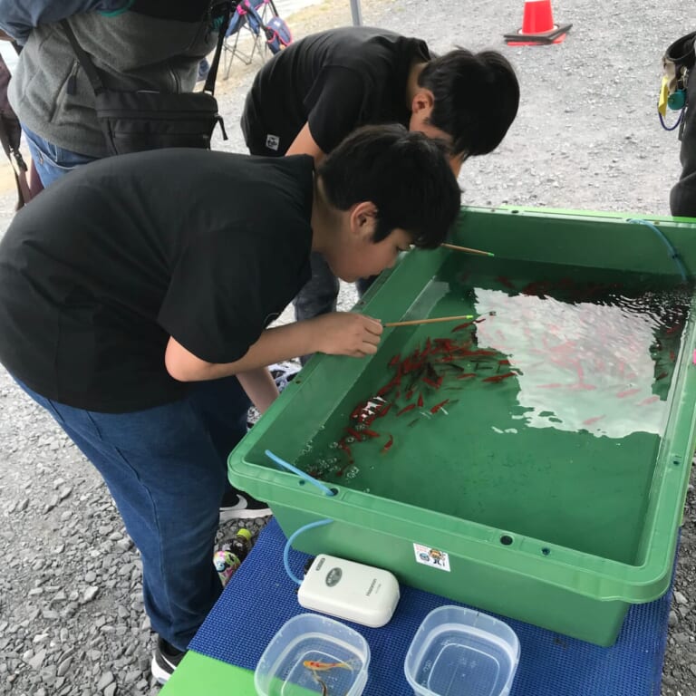 金魚釣りの様子|【WITH HARLEYも出展!】ストリート・フォルクスワーゲンズ・ジャンボリー6月1日(日)開催