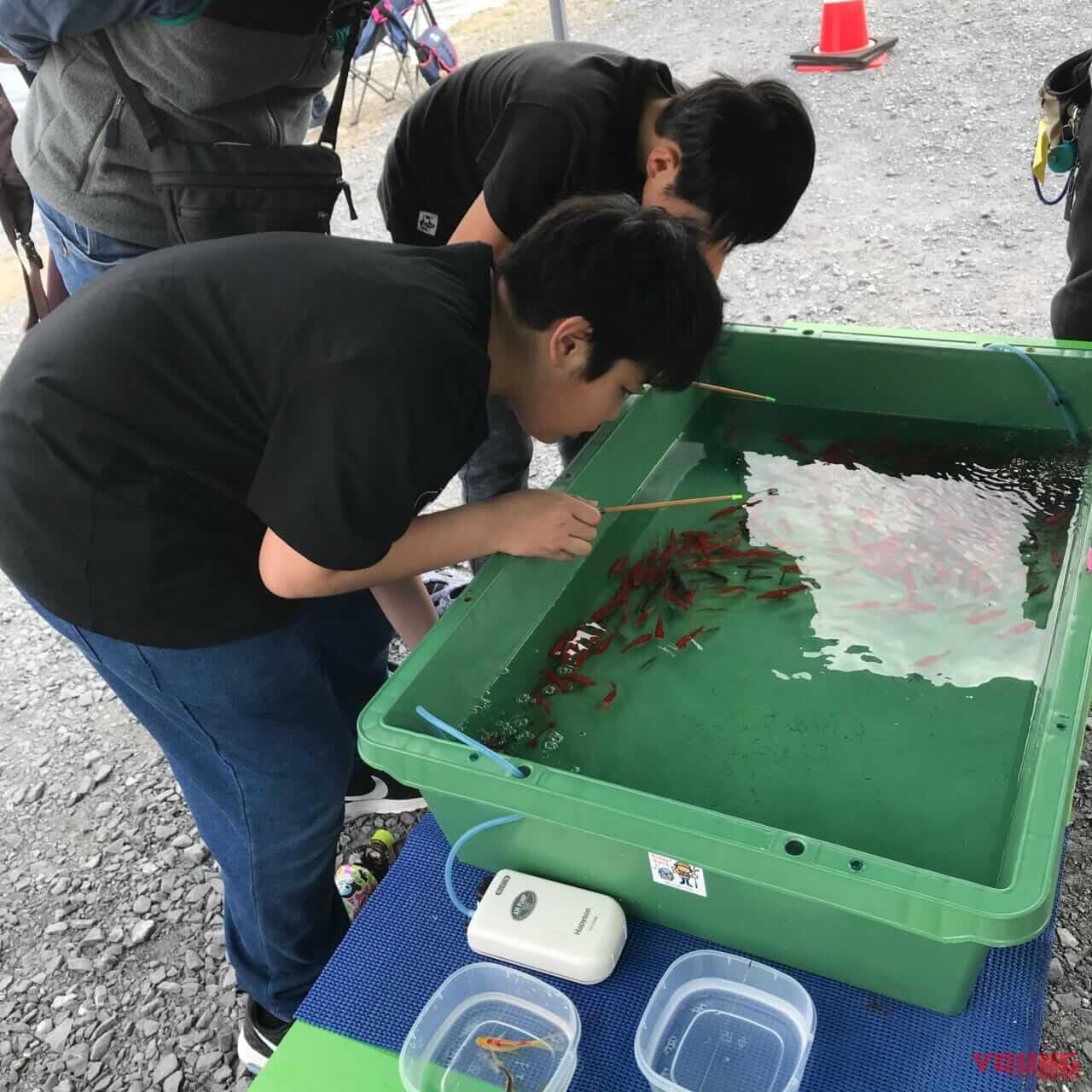 |【WITH HARLEYも出展!】ストリート・フォルクスワーゲンズ・ジャンボリー6月1日(日)開催