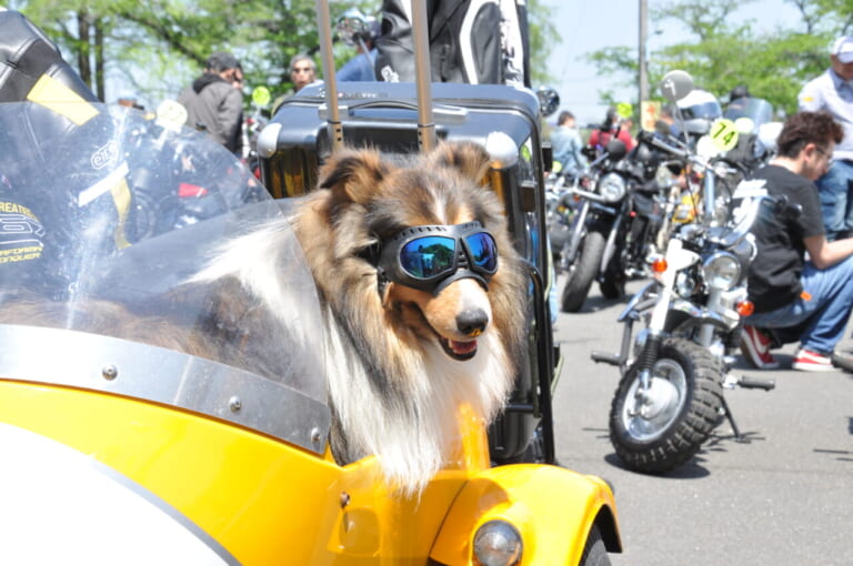 第17回 モンキーミーティングin多摩|500台オーバーの“猿”が集合!『第17回モンキーミーティングin多摩』開催レポート