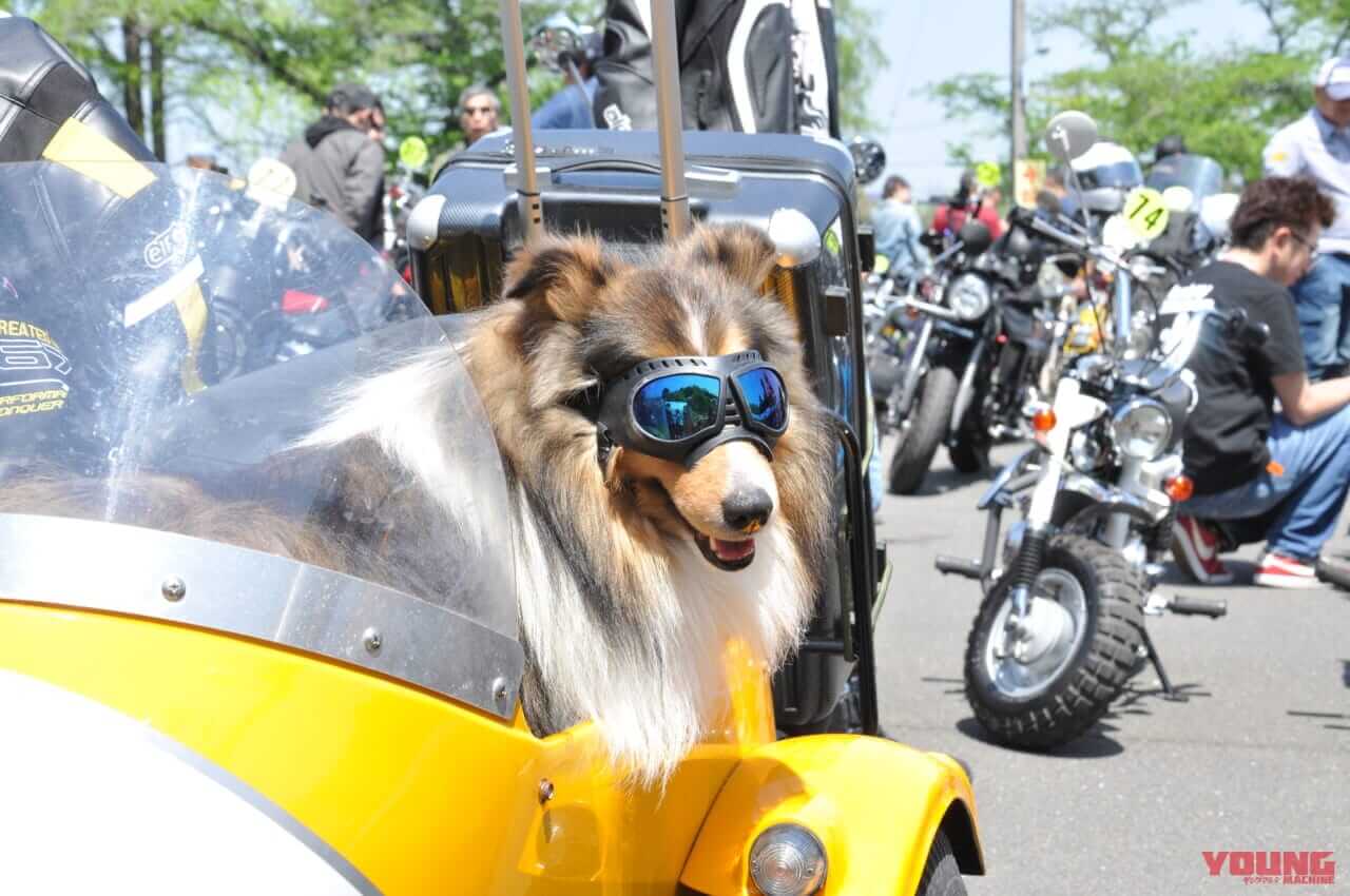 |500台オーバーの“猿”が集合!『第17回モンキーミーティングin多摩』開催レポート