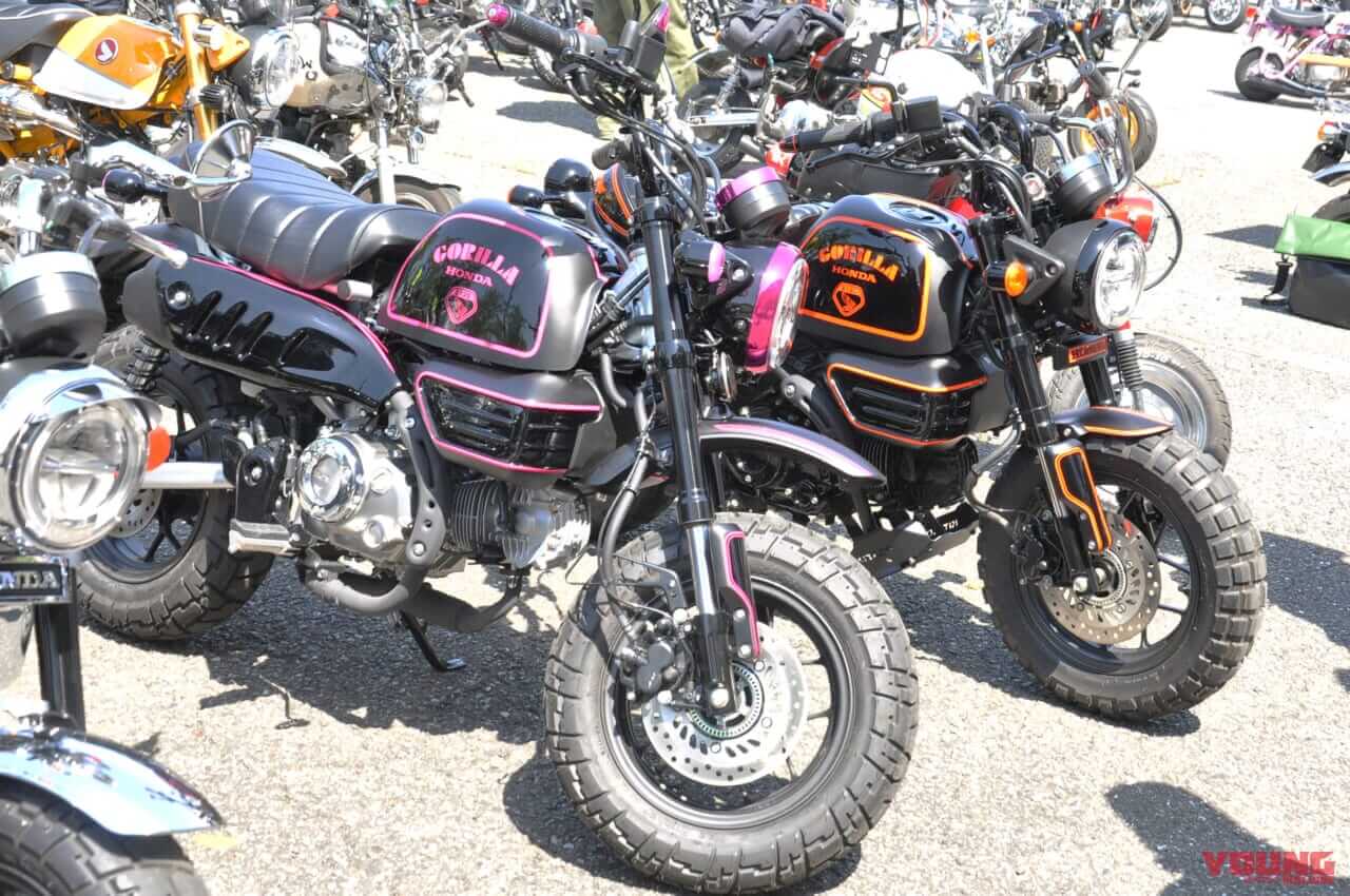 第17回 モンキーミーティングin多摩|500台オーバーの“猿”が集合!『第17回モンキーミーティングin多摩』開催レポート