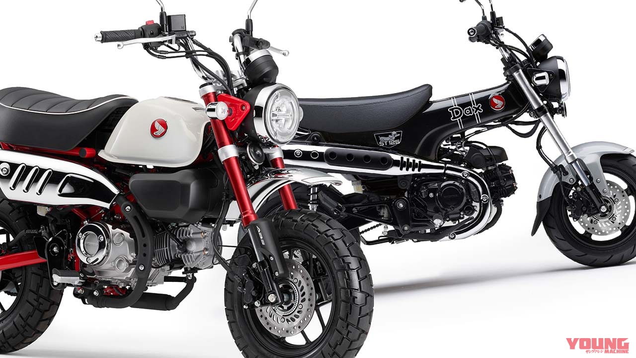 【比較】ダックス125とモンキー125は似ているようで乗れる免許も違う! タンデムできるのは?