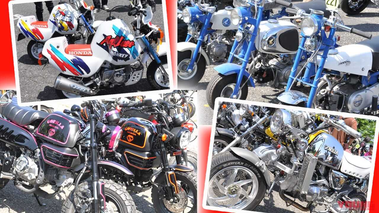 500台オーバーの“猿”が集合!『第17回モンキーミーティングin多摩』開催レポート