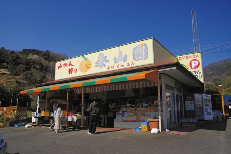 伊豆半島ツーリング｜東伊豆｜オレンジロード｜泰山園