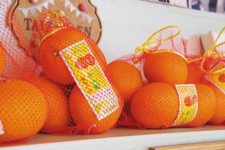 伊豆半島ツーリング｜東伊豆｜オレンジロード