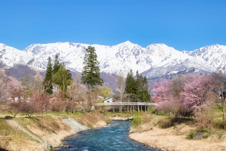 小川アルプスラインガイドブック|ヤングマシン電子版7月号|信州 北アルプスを望む北信屈指の絶景ロード「小川アルプスライン」を完全ガイド!