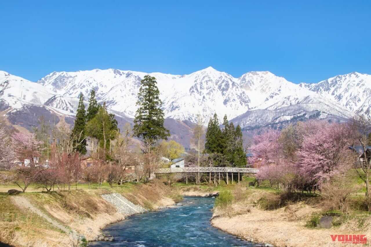 小川アルプスラインガイドブック|ヤングマシン電子版7月号|信州 北アルプスを望む北信屈指の絶景ロード「小川アルプスライン」を完全ガイド!