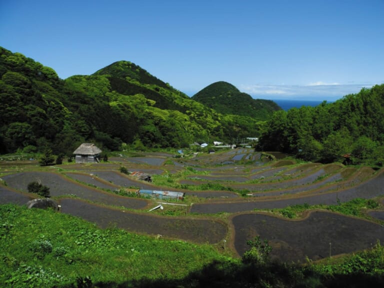 伊豆半島ツーリング｜西伊豆｜石部の棚田