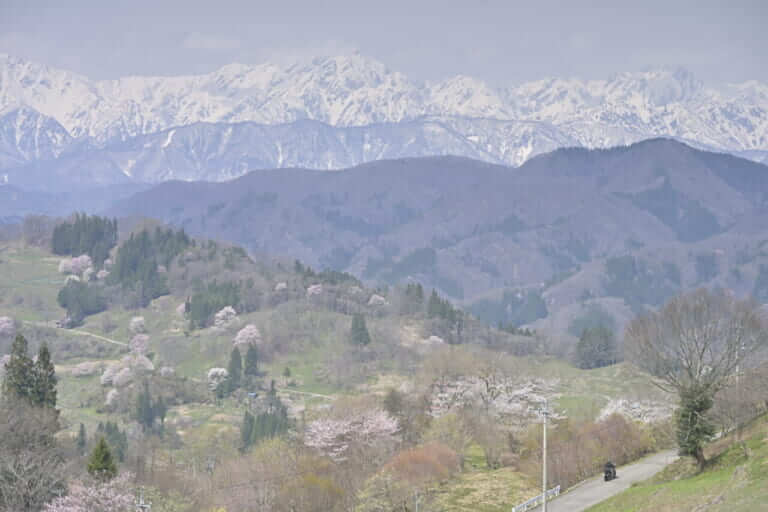 小川アルプスラインガイドブック|ヤングマシン電子版7月号|信州 北アルプスを望む北信屈指の絶景ロード「小川アルプスライン」を完全ガイド!