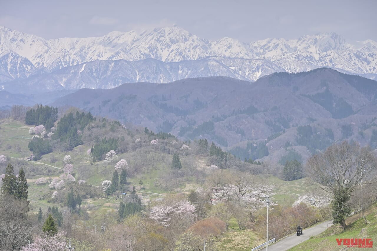 小川アルプスラインガイドブック|ヤングマシン電子版7月号|信州 北アルプスを望む北信屈指の絶景ロード「小川アルプスライン」を完全ガイド!