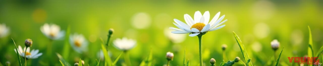 BODY TOUGHNESS BUG CLEAR|蚊を寄せつけず、紫外線もカット! 熱い夏のツーリングが快適になる高機能アームカバーが新登場