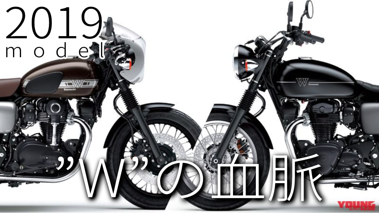 最新中古相場もわかる! 人気バイク歴代モデル図鑑:カワサキW800シリーズ【2本立てで復活した2019年モデル】