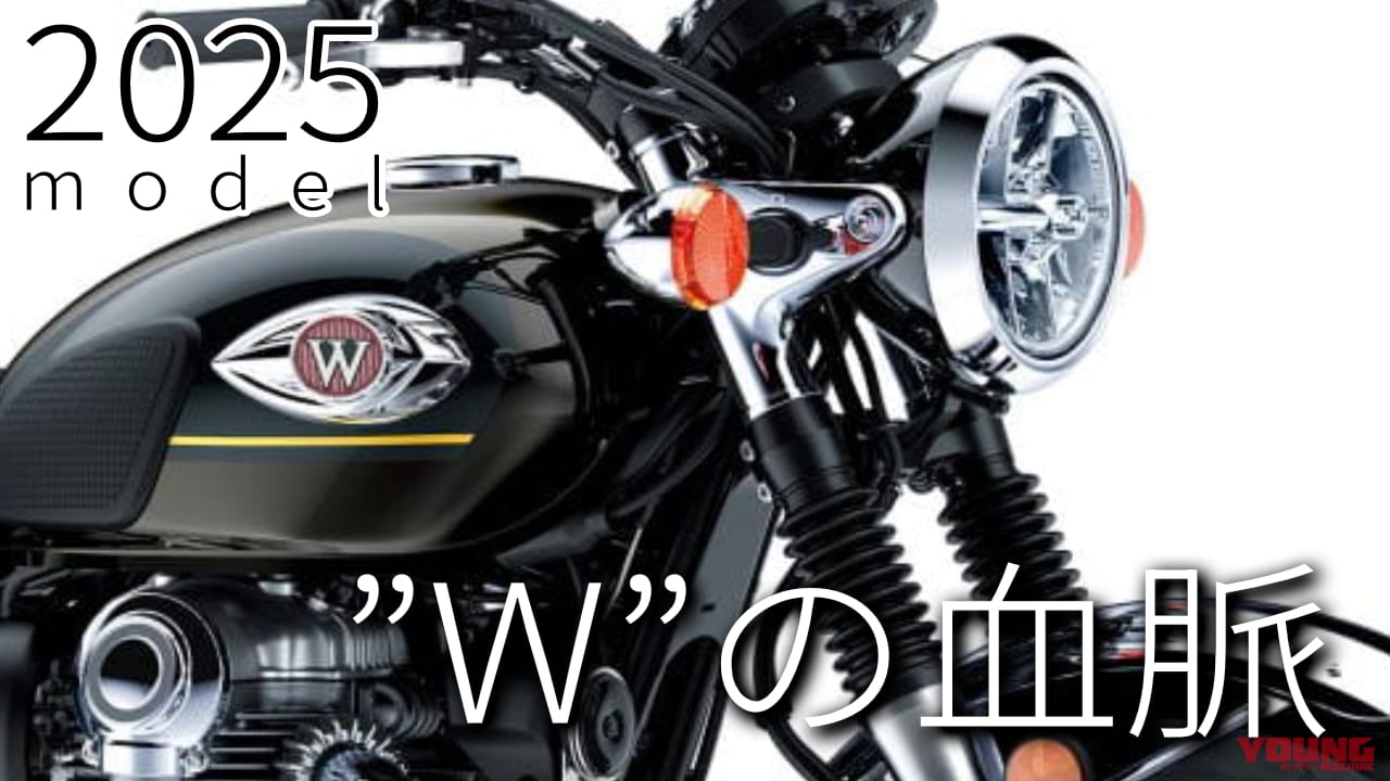 最新中古相場もわかる! 人気バイク歴代モデル図鑑:カワサキW800【ゴールドストライプの2025年モデル】