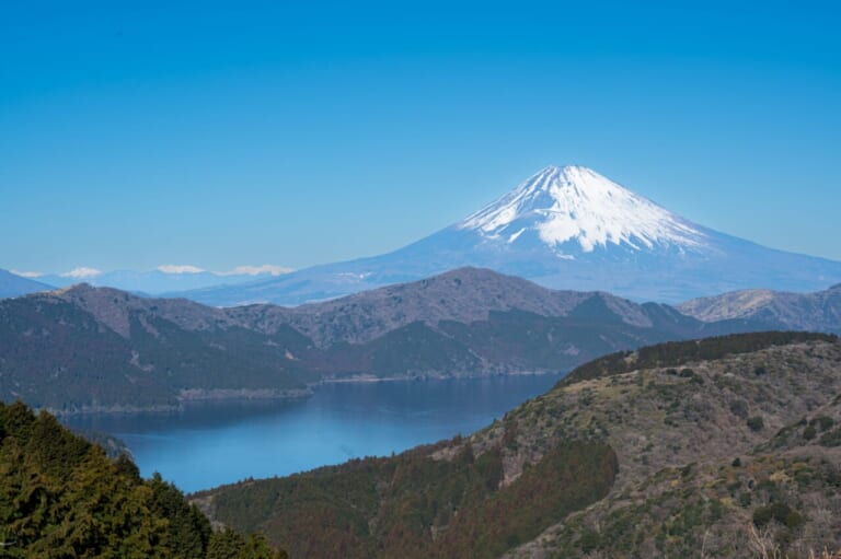大観山展望台