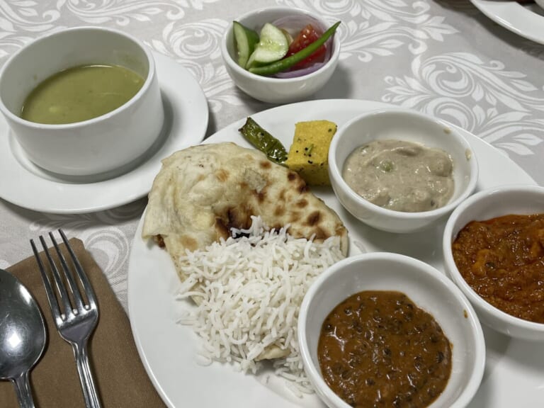 カレー|【1日で最大16万台を売る?! 】脅威のバイク巨大市場「インド」でホンダ 二輪車生産5億台記念式典に参加してきた