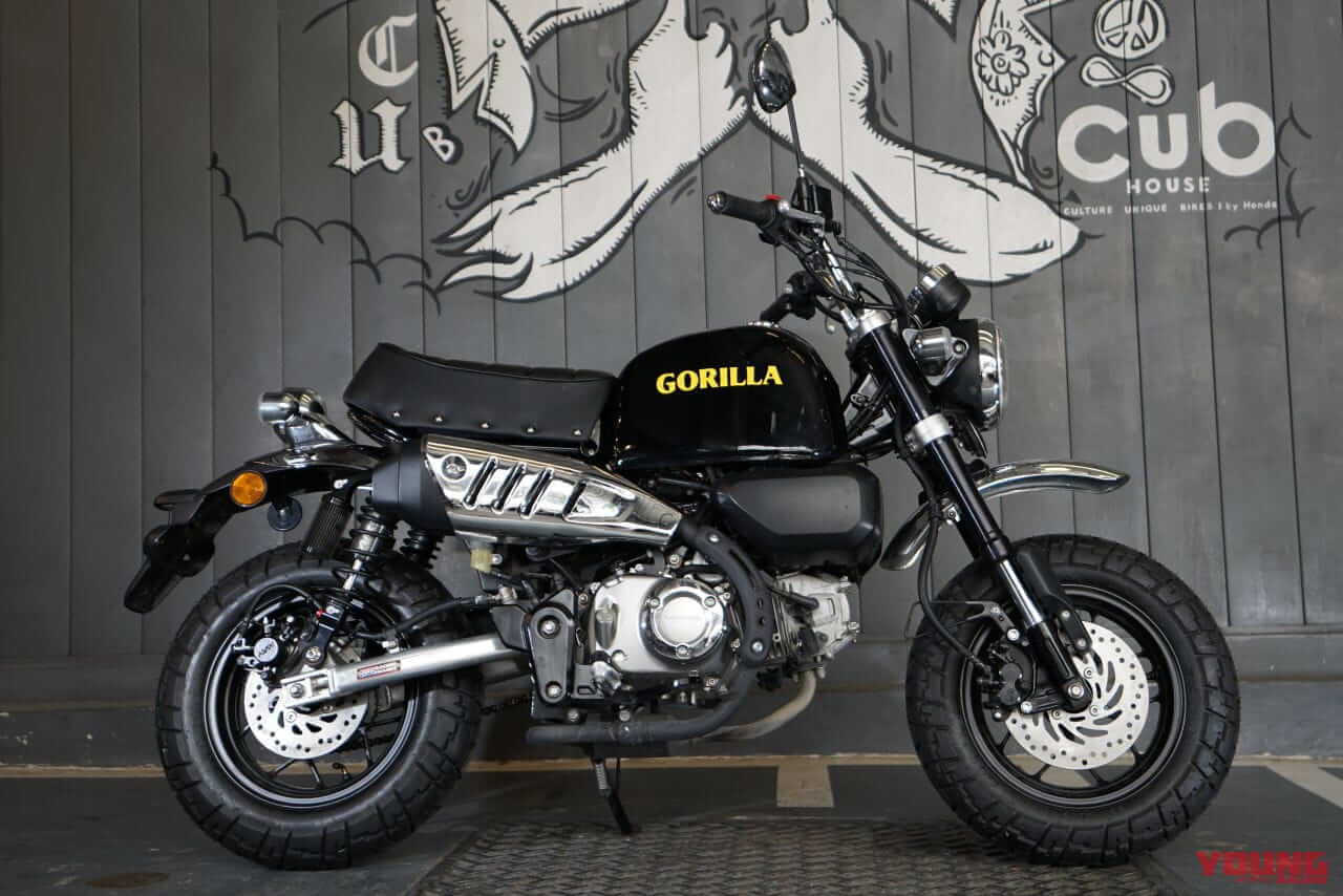 ゴリラ125 プロトタイプ｜タイ仕様｜「待ってたやつ!!」ホンダ新『ゴリラ125 プロトタイプ』登場！ 鉄製ビッグタンクと鋲打ちシートでモンキー125が転生【海外】
