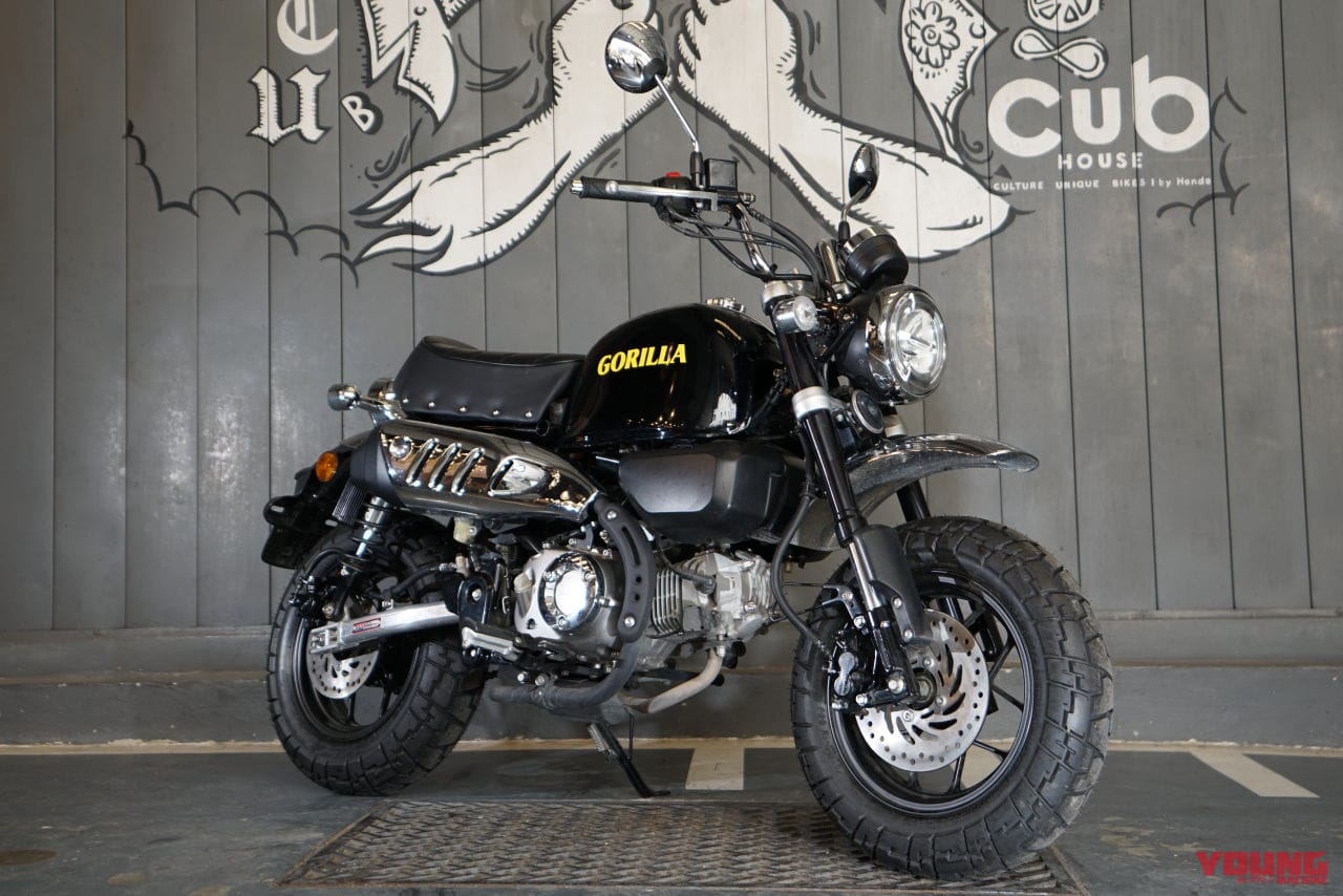 ゴリラ125 プロトタイプ|タイ仕様|「待ってたやつ!!」ホンダ新『ゴリラ125』登場…なの?! 鉄製ビッグタンクと鋲打ちシートでモンキー125がカスタム転生【海外】