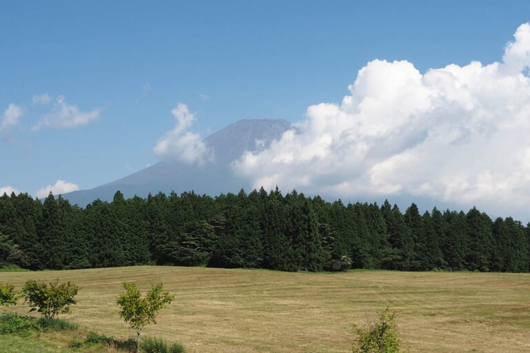 朝霧高原|【日本テレビ系ドラマ『ホットスポット』】聖地・精進湖で「涼湖祭」が6年ぶり復活! 限定コラボグッズ、花火、ロケ地巡りも【8月4日開催】