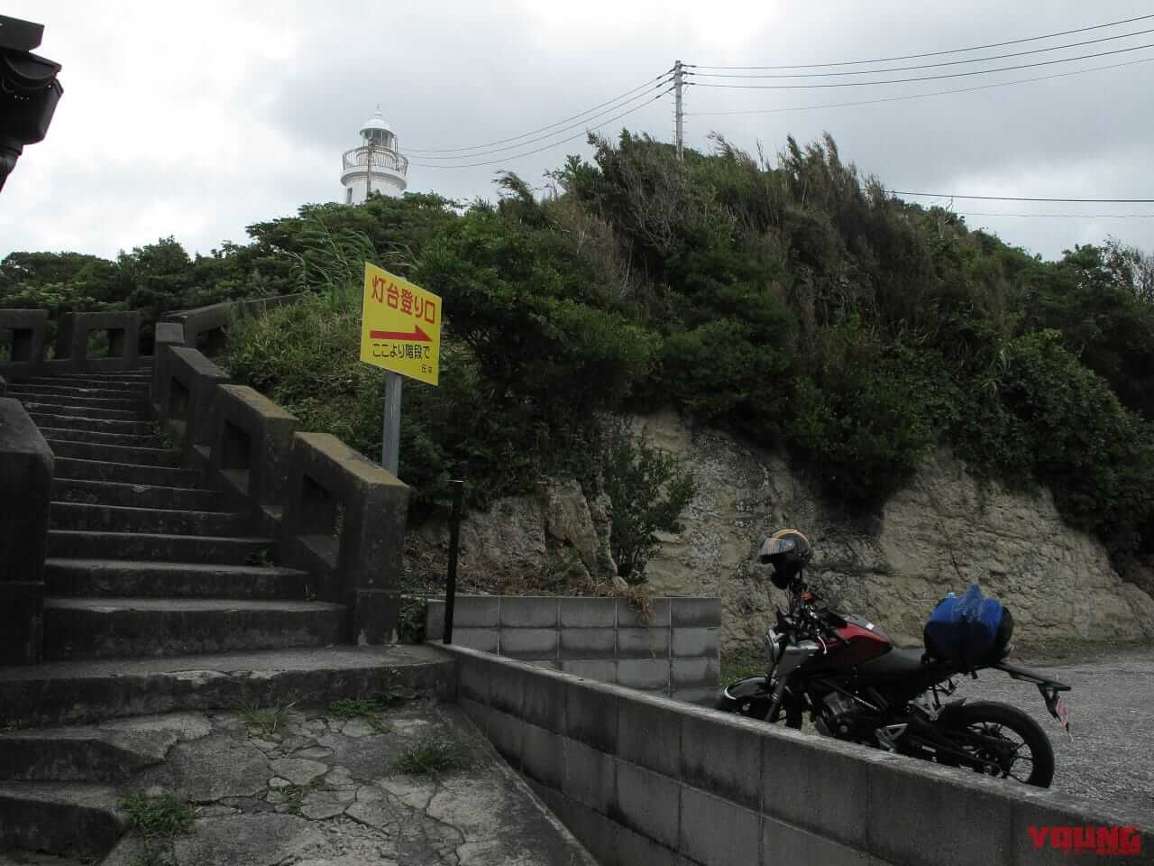 ｜房総フラワーラインをバイクで満喫｜絶景ルート・道の駅・開花情報・見頃ガイド