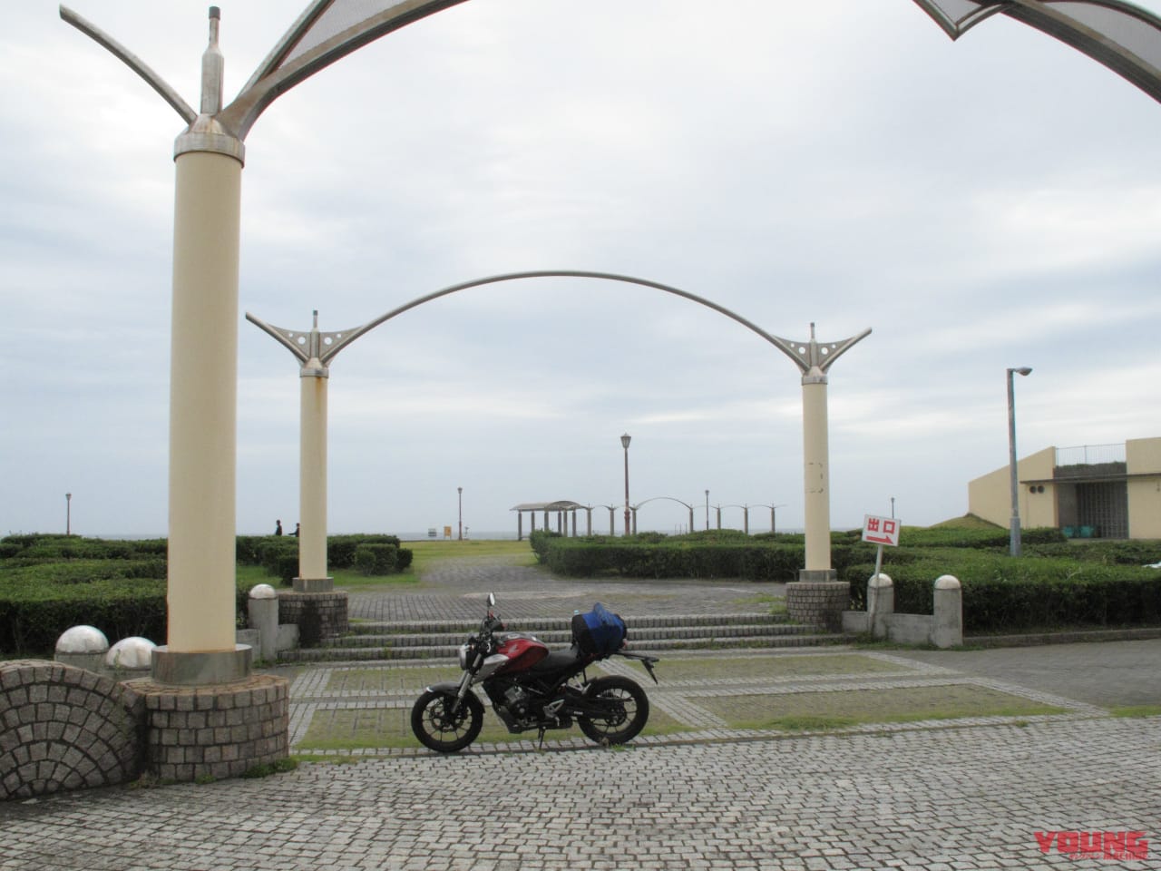 ｜房総フラワーラインをバイクで満喫｜絶景ルート・道の駅・開花情報・見頃ガイド